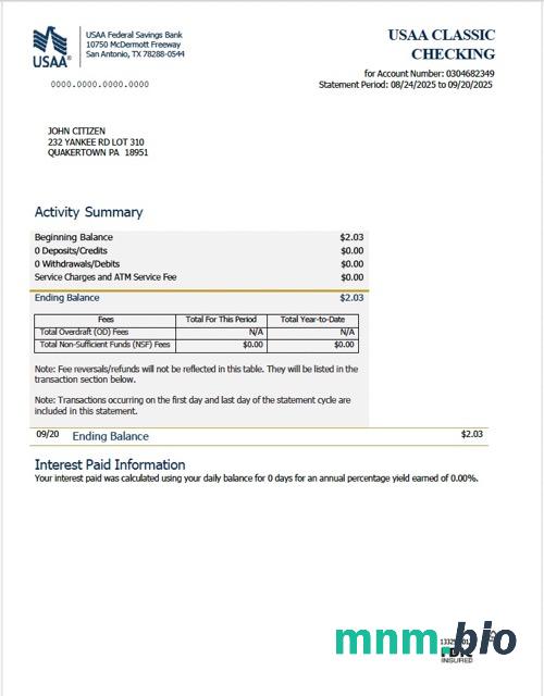 USAA Federal Savings Bank statement Word i szablon PDF, 2 strony